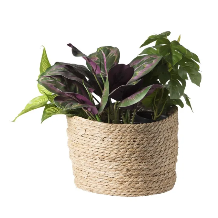 Xenos Bloempot Aaron - ø26x18 cm- Bloempotten