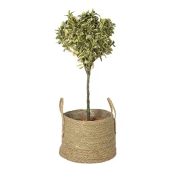 Xenos Bloempot Guus - ø40x29 cm- Bloempotten
