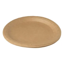 Xenos Bord kraftpapier - 10 stuks - 18,5 cm- Wegwerpservies|Buitenservies