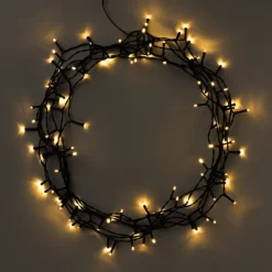 Xenos Buitenverlichting 80 LED - warm wit - 6 meter- Kerstverlichting