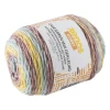 Xenos Cake garen mix - multikleur - 100 gram - 200 meter- Garen
