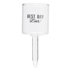 Xenos Caketopper shotglazen - set van 4- Cake Toppers