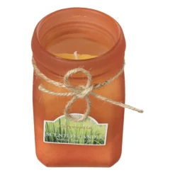 Xenos Citronella kaars - diverse varianten - ø6.5x11.5 cm- Citronella Kaars|Citronella Kaars