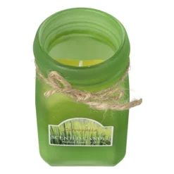 Xenos Citronella kaars - diverse varianten - ø6.5x11.5 cm- Citronella Kaars|Citronella Kaars