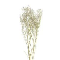 Xenos Droogbloem gipskruid - wit - 60 cm- Kunstbloemen