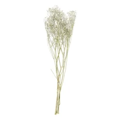 Xenos Droogbloem gipskruid - wit - 60 cm- Kunstbloemen