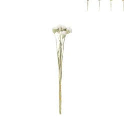 Xenos Droogbloemen - diverse varianten - 38 cm- Kerstcadeaus|Kunstbloemen
