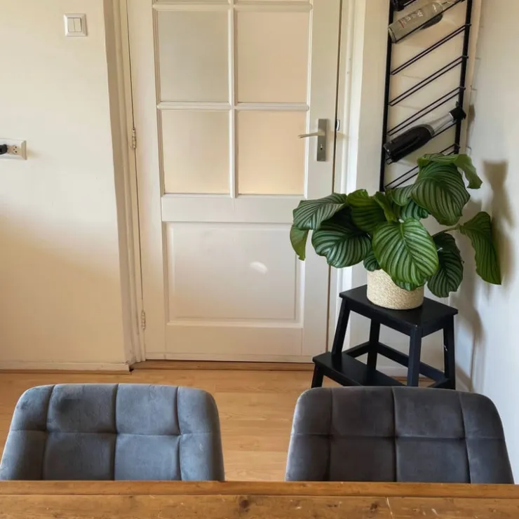 Xenos Eetkamerstoel velvet - grijs - 79x50x44 cm- Eetkamerstoelen