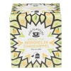 Xenos Fine Flavours groene thee - mandarijn sinaasappel - 10 zakjes- Thee