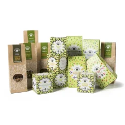 Xenos Fine Flavours groene thee - 10 zakjes- Thee