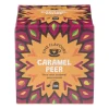 Xenos Fine flavours vruchten thee - caramel peer - 10 zakjes- Thee
