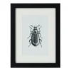 Xenos Fotolijst met passe partout - zwart - 10x15 cm- Fotolijsten