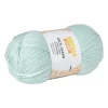 Xenos Garen acryl - pastelgroen - 100 gram - 250 meter- Garen