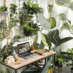 Xenos Hangplant - 65 cm- Kunstplanten