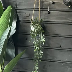 Xenos Hangplant - 65 cm- Kunstplanten