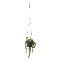 Xenos Hangplantje in pot - zwart - 9x9x70 cm- Kunstplanten