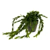 Xenos Hangplantje in potje - lang blad- Kunstplanten