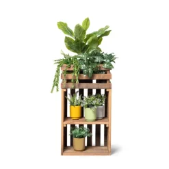Xenos Hangplantje in potje - lang blad- Kunstplanten