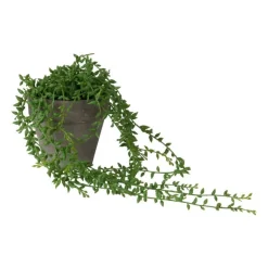 Xenos Hangplantje in potje - spits blad- Kunstplanten