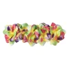 Xenos Hawaii haarband - multikleur- Verkleedaccessoires