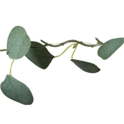 Xenos Kerst lichtslinger met eucalyptus - groen - 2 meter- Kerstverlichting|Kerstboom Verlichting