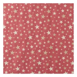 Xenos Kerstpapier kraft - diverse varianten - 200x70 cm- Kerst Inpakken