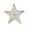 Xenos Kerstster LED regenboog - 30 cm- Kerstfiguren