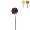 Xenos Kunstbloem allium - diverse varianten - 50 cm- Kunstbloemen