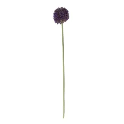 Xenos Kunstbloem allium - diverse varianten - 50 cm- Kunstbloemen