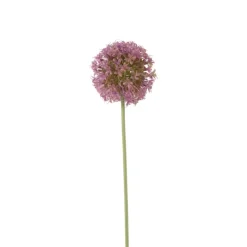 Xenos Kunstbloem allium - paars - 64 cm- Kunstbloemen