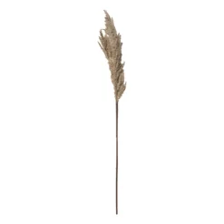 Xenos Kunstbloem pampas tak - 81 cm - diverse kleuren- Kerstcadeaus|Kunstbloemen