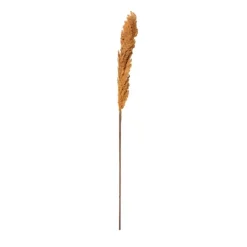 Xenos Kunstbloem pampas tak - 81 cm - diverse kleuren- Kerstcadeaus|Kunstbloemen