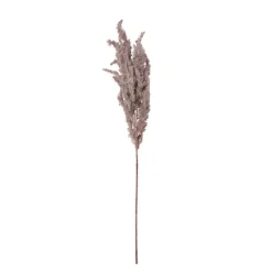 Xenos Kunstbloem pampas tak - 80 cm - diverse kleuren- Kunstbloemen