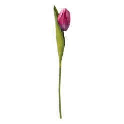Xenos Kunstbloem tulp - diverse varianten - 30 cm- Kunstbloemen