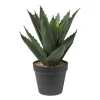 Xenos Kunstplant aloe vera - 28 cm- Kunstplanten