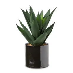 Xenos Kunstplant aloe vera - 28 cm- Kunstplanten