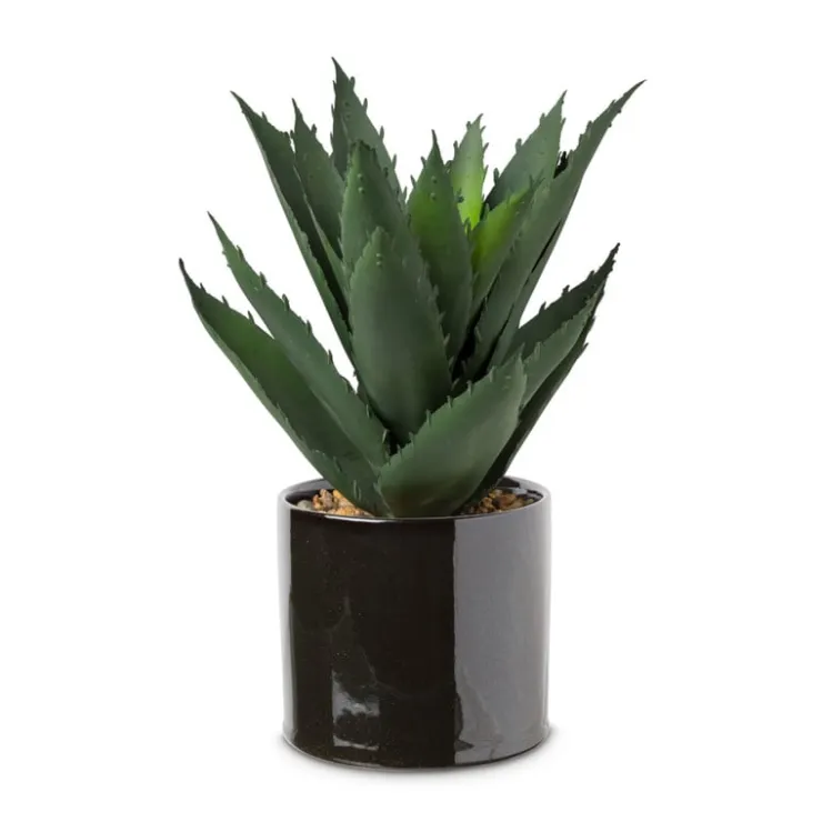 Xenos Kunstplant aloe vera - 28 cm- Kunstplanten