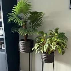 Xenos Kunstplant Chinese waaierpalm - 90 cm- Kunstplanten