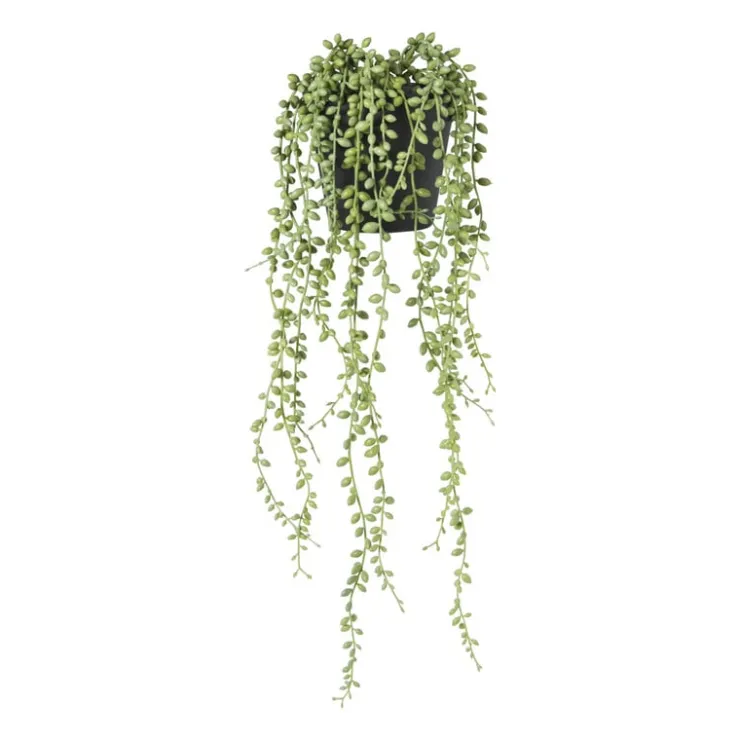 Xenos Kunstplant erwtenplantje in pot - groen/zwart - 53 cm- Kunstplanten