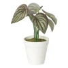 Xenos Kunstplant mini syngonium - rood - 13 cm- Kunstplanten