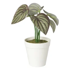 Xenos Kunstplant mini syngonium - rood - 13 cm- Kunstplanten