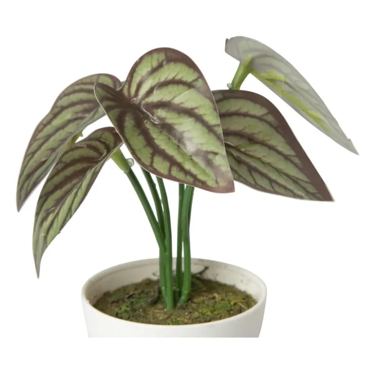Xenos Kunstplant mini syngonium - rood - 13 cm- Kunstplanten