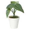 Xenos Kunstplant mini syngonium - 13 cm- Kunstplanten