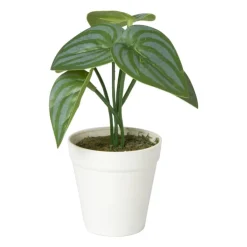 Xenos Kunstplant mini syngonium - 13 cm- Kunstplanten