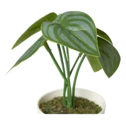 Xenos Kunstplant mini syngonium - 13 cm- Kunstplanten
