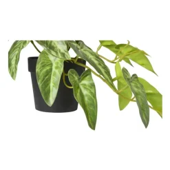 Xenos Kunstplant syngonium - 17 cm- Kunstplanten