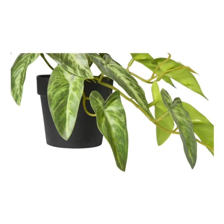 Xenos Kunstplant syngonium - 17 cm- Kunstplanten