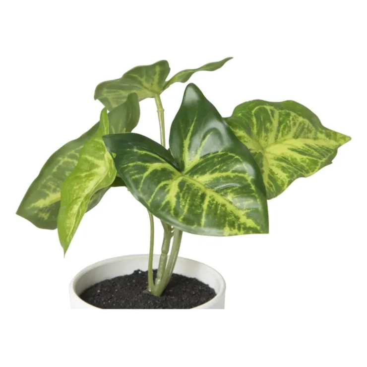 Xenos Kunstplant syngonium - 16 cm- Kunstplanten