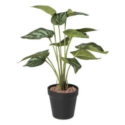 Xenos Kunstplant syngonium - 36 cm- Kunstplanten