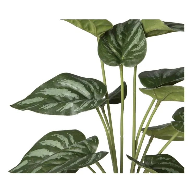 Xenos Kunstplant syngonium - 36 cm- Kunstplanten